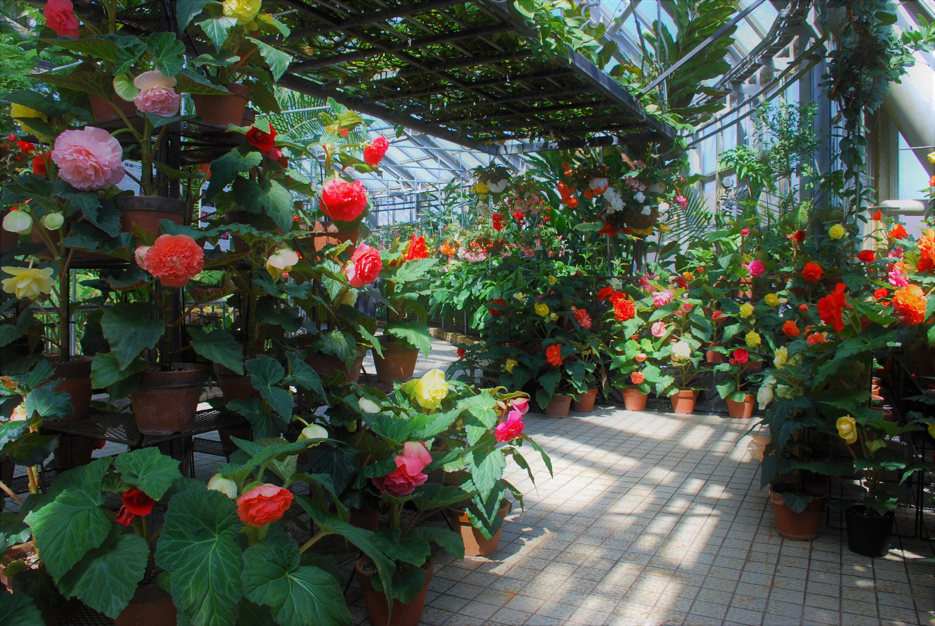 ユーザー登録 京生き物ミュージアム