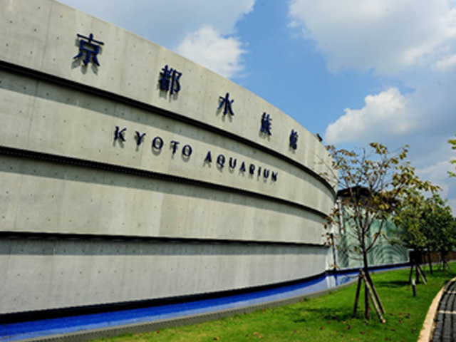 京都水族館画像