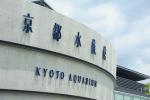 京都水族館の生息域外保全の取組